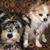Tina MacAbee's profile image