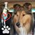 Susan Reasons's profile image