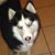 Yoan Gonzalez's profile image