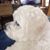 Lee Menzer's profile image