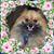 Betty Stephens's profile image