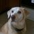 Lucinda Cravey's profile image