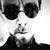 Azen Sin Roll's profile image