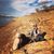 Michelle McCartney-Lockwood's profile image