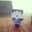 anthony nguyen's profile image