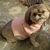 Penny Shewmaker Graham's profile image