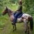 Veleda Cordes's profile image