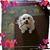 Starr Wetzel's profile image