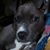 Ethelbert C Broadnax's profile image