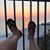Melissa Wineman's profile image