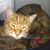 Bertha Hemingway Baker's profile image