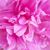 Holly Keil's profile image