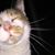 Tina Adams Mezquita's profile image