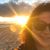 Sandy Stark Monteiro's profile image