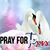 Ara Ameena Mohammed's profile image