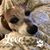 Kaetlyn Simpson's profile image
