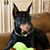 Tammy Bogaski's profile image