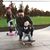 Shawn Carelli's profile image