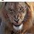 Joy Jones's profile image