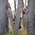 Brianne Joiner Gutierrez's profile image