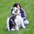 Judy Dubinsky Grayson's profile image