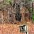 Marsha L. Dorgan's profile image