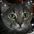 Stephanie C Phillips's profile image