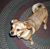 Barbara Walker's profile image