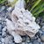 Donna Grinnell Galland's profile image