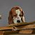 Bob Reinsch's profile image