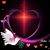 Terre Bzdick's profile image