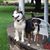 Brenda Houghton's profile image