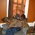 David DeRepentigny's profile image
