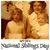 Susan J Murphy's profile image