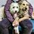 Julie E Wilcox's profile image