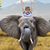 Emily Shaw Baker's profile image