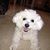 Kirsten Kaastad's profile image