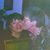 Josefa Azcueta's profile image