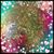 Kimberly Carter's profile image
