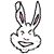 David Stone's profile image