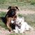 Terry Carpenter's profile image