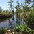 Karen LaMay Anderson's profile image