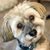 Marianne Cox's profile image