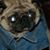 Lori Mullins Johnson's profile image