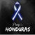 Luz Amelia Martinez's profile image