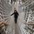 Donna Dulz Corrado's profile image