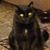 Christopher Kelly Clark's profile image