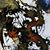 David Lathrop's profile image