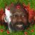 Shawn Williams's profile image