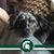 Mike Stoutenburg's profile image